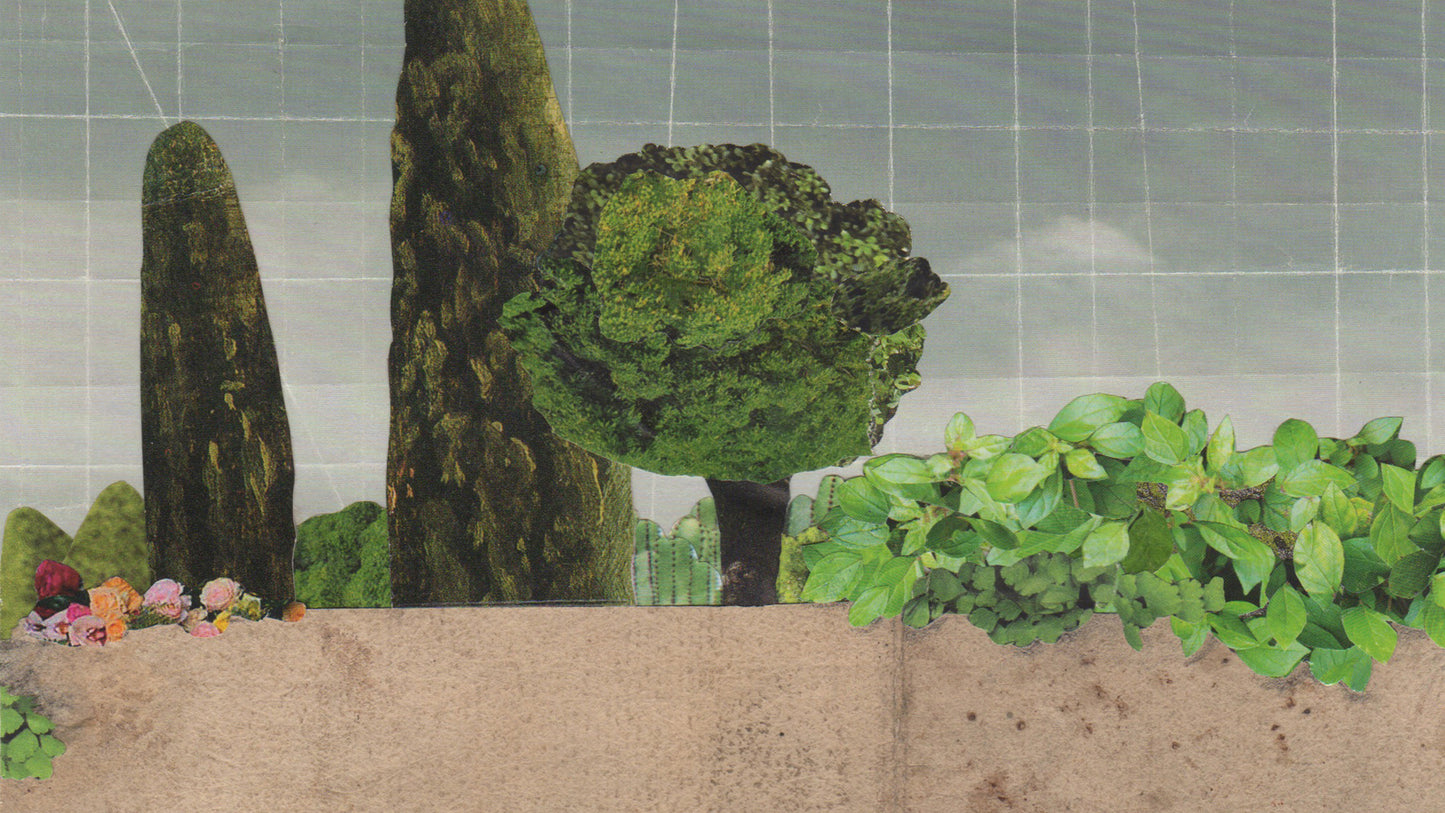 Il collage a cura di Oscar Sabini (8 Ottobre — 17 Dicembre 2025)