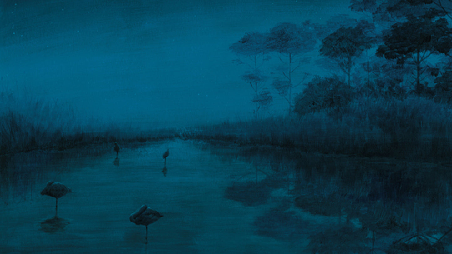 Progettare un silent book a cura di Alice Barberini (18 Maggio 2026 — 22 Giugno 2026)