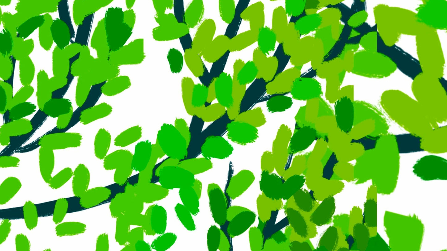 Natura, albo illustrato, colore a cura di Francesca Chessa e Silvia Paccassoni (22 — 23 Novembre 2025)