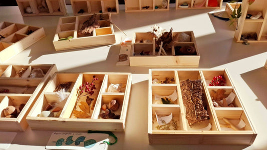 Scrivere a contatto con la natura (II edizione) di Silvia Vecchini (26  — 27 Settembre 2026)