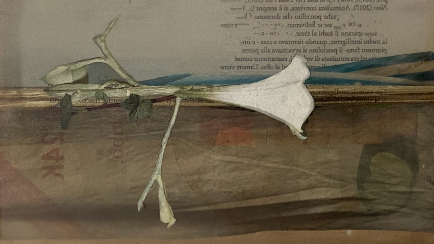 Copia dal vero attraverso il collage. Corso avanzato di 2° livello a cura di Oscar Sabini (14 Gennaio 2026 — 25 Marzo 2026)