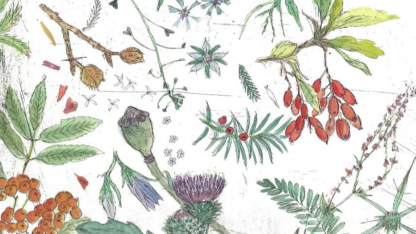 Un viaggio intorno al mondo a cura di Linda Wolfsgruber (6 Luglio 2026 — 11 Luglio 2026)