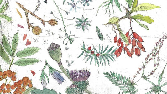 Un viaggio intorno al mondo a cura di Linda Wolfsgruber (6 Luglio 2026 — 11 Luglio 2026)