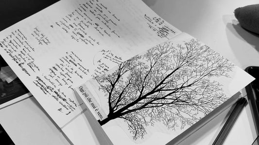 Embroidering verses, sewing stories edited by Silvia Vecchini