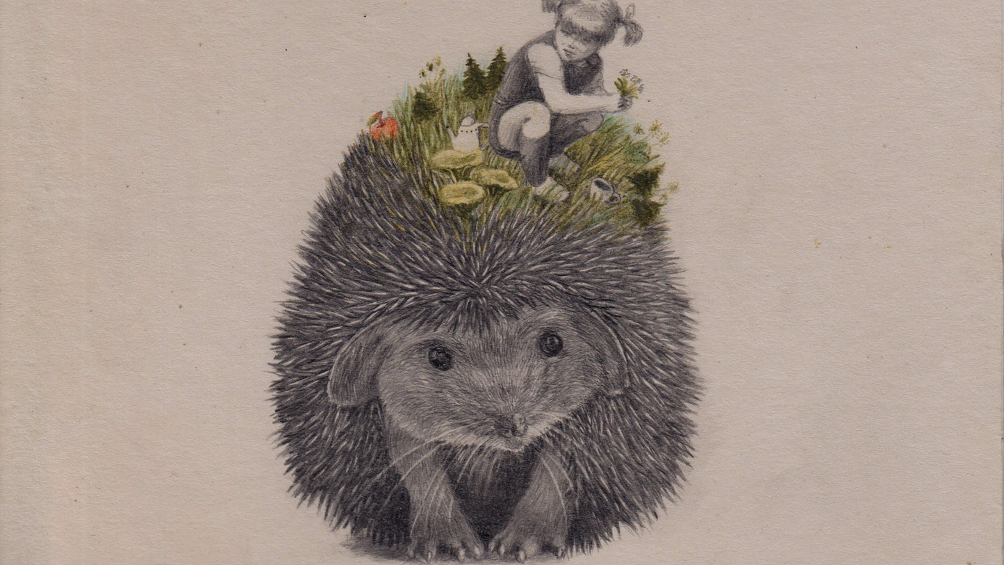 Illustrare il mondo animale  a cura di Joanna Concejo (17 Gennaio — 18 Gennaio 2026)