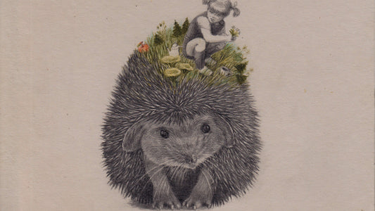 Illustrare il mondo animale  a cura di Joanna Concejo (17 Gennaio — 18 Gennaio 2026)